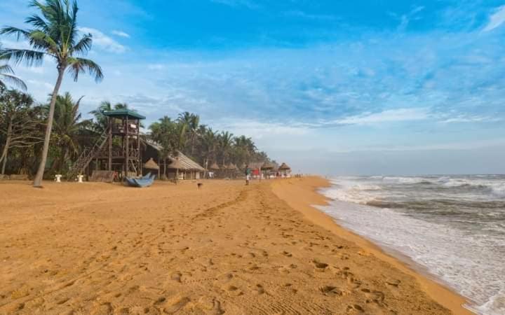 Green Bloom Dehiwala-Mount Lavinia Ngoại thất bức ảnh